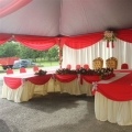 Evolusi Wedding 