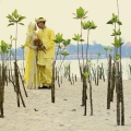 Pop My Wedding 