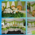 Evolusibina Wedding House
