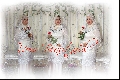 Nurimerah Photo Shop