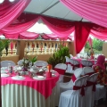 Teluk Intan Canopy