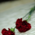 Erieadn Pictures Photography