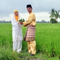 Wedding Planet