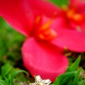 Hujan Bintang Photography