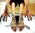 Dayu Designs Bridal Henna/mehendi/mehdi Services @ Ur Doorsteps! 