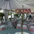 Special Appearance Sdn. Bhd.