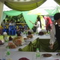 Bros Catering & Canopy