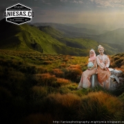 Aniesas.co