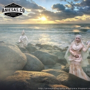 Aniesas.co
