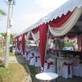 Daut Canopy