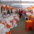Daut Canopy