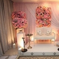 D'shayana Creation Gallery