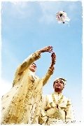 Bob Tahar Photography