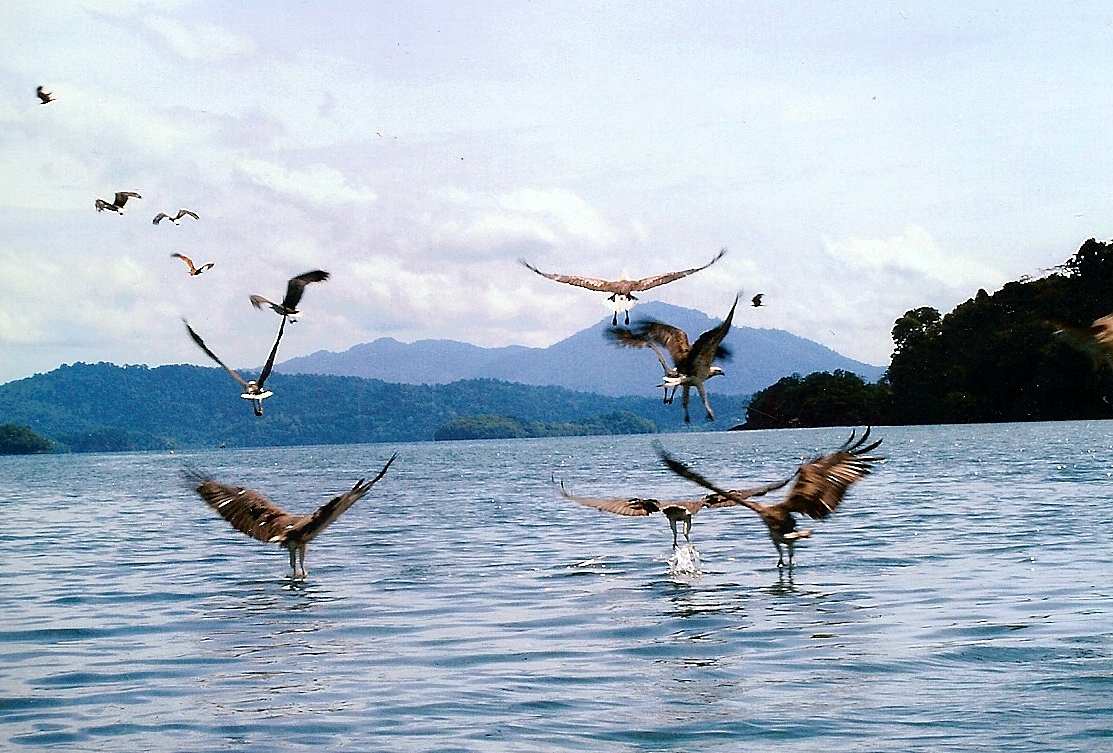 Langkawi Traveller - Pakej Bulan Madu di Kuala Perlis, Kedah