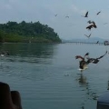 Langkawi Traveller