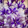 Wedding Gift Asia