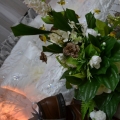 Mai Design Gallery