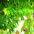 Alunphotography