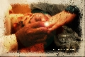 Risik Bayu Photography