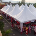 Canopy Naza