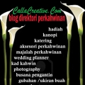 Callacreative.com