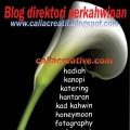 Callacreative.com