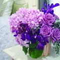 Adli Design