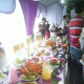 Cute Catering Enterprise