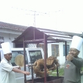Cute Catering Enterprise