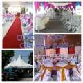 Cute Bridal Enterprise
