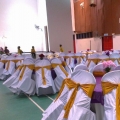 Cute Bridal Enterprise