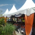 Dqis2u.com Catering & Canopy