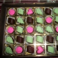 Pialisya Coklat