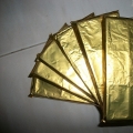 Pialisya Coklat