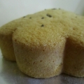 Shana Cake & Bahulu House