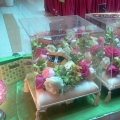 Maria Flowerhouse