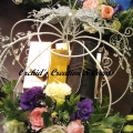 Orchid's Creation And Events