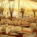 Suzana Weddings