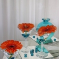 Suzana Weddings
