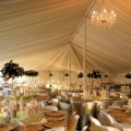 Suzana Weddings