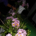 Hantaran Bunga Hidup & Pelamin