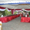 Pjrentalcanopy