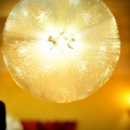 Little Precious Photography