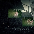 Kaki5photo