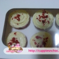 Cuppiesnchoc
