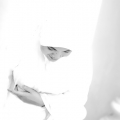 Hanifkarim Photography