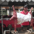Asiarasa Western Food & Kambing Panggang