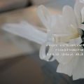 Bunga Telur/ Hantaran/ Wedding Plan 