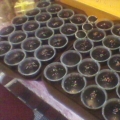 Pakej Cupcake + Agar2