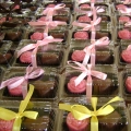 Coklat Inang Suri